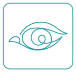 Plan de travail 1symbole coul