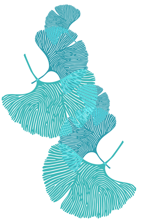 politique-inclusion-et-diversite-enchevetrement-feuilles-biloba