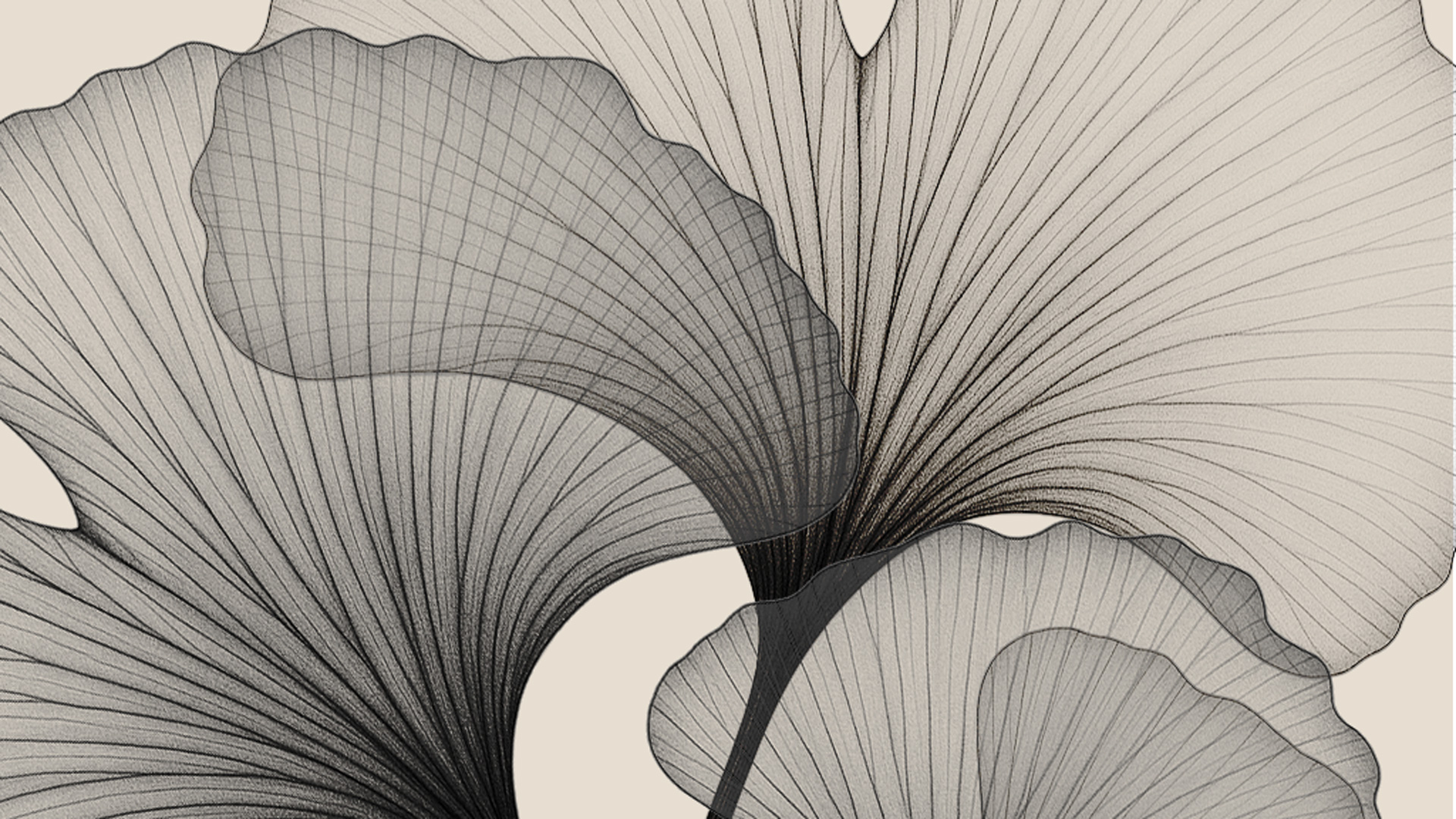 Le-Leader-Humaniste-image-header