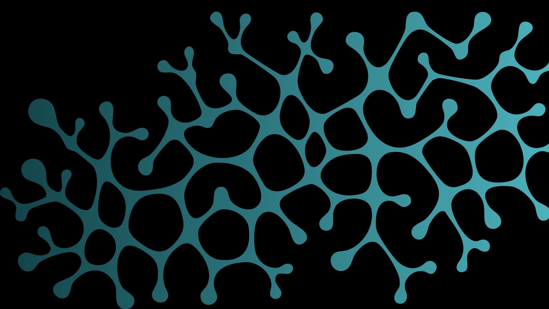 Leadership-executive-forum-info-session-image-header