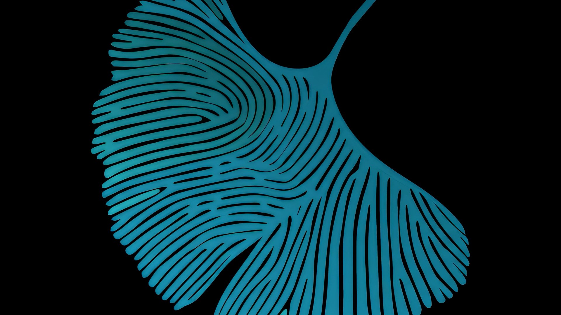 politique inclusion et diversite conference workshop